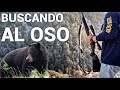 Regresamos A La Caceria De Oso Con Los Viejones