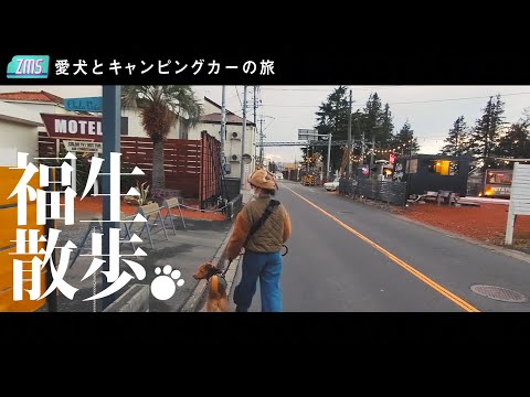 愛犬とキャンピングカーの旅/福生散歩