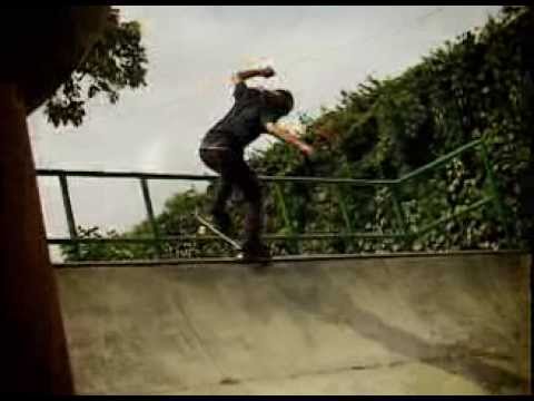 David Gonzalez Flip Skateboards Mini Ramp part