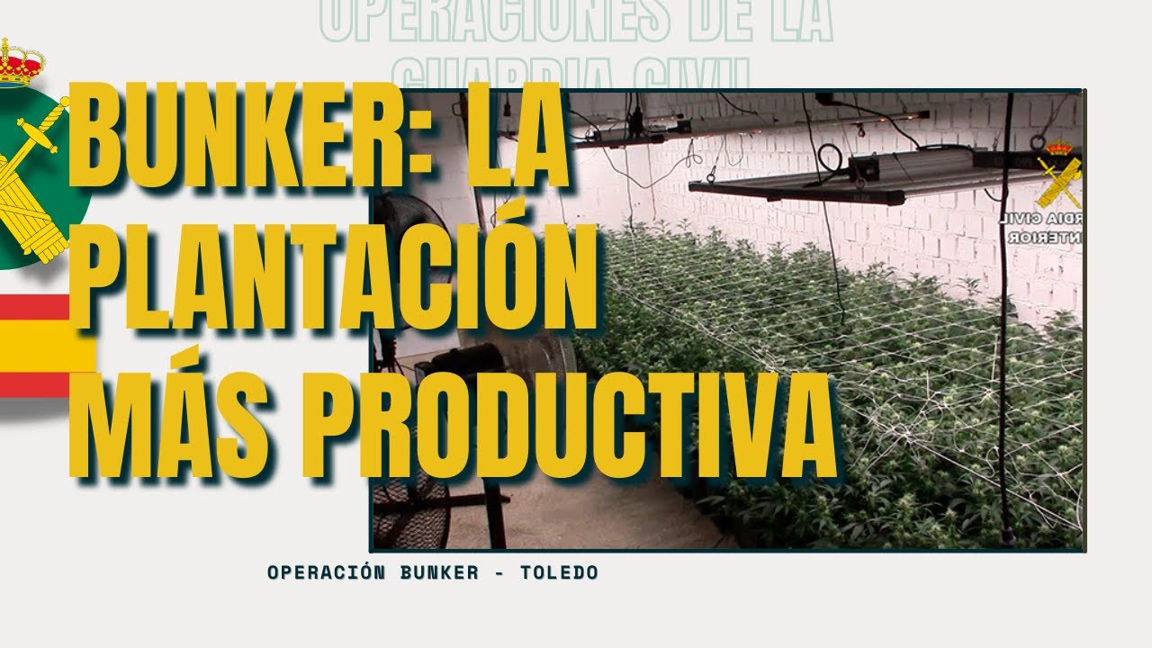 Bunker. La plantación subterránea con mayor capacidad de producción de marihuana hasta hoy.