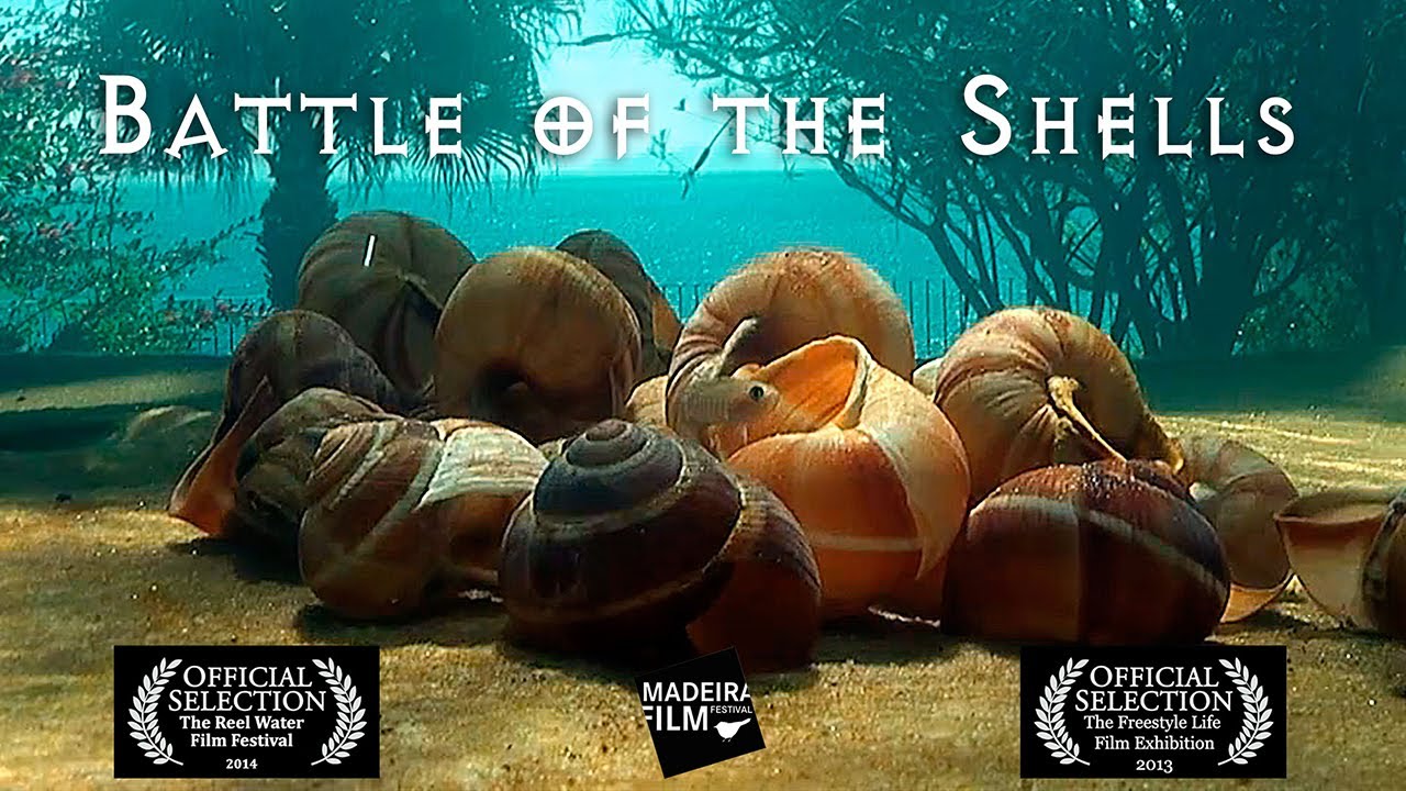 Battle of the Shells - Documentary series trailer