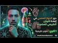 دور النظام العصبي في إعادة التوازن الطبيعي للعضوية شرح مبسط أولى ثانوي 