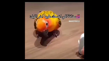 الفن ارنب 