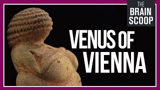 Meeting Vienna's 30,000 year-old woman || Museum Tour by thebrainscoop 19,778 views 2 months ago 8 minutes, 36 seconds