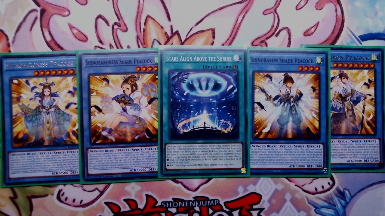 Shinobird Deck Profile June 2025 - YouTube