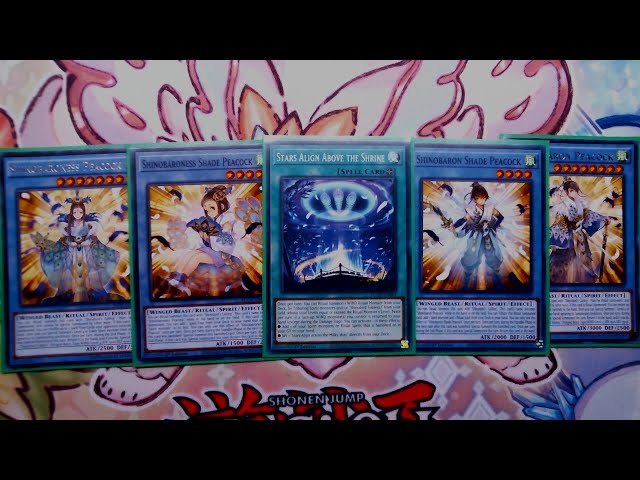 shinobird deck yugioh Shinobaroness Peacock - Yu-Gi-Oh! Card Database