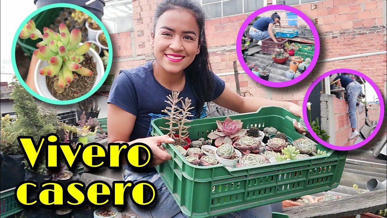TRABAJO EN MI VIVERO DE SUCULENTAS: organizo canastas, tomo fotos + consejos 🏡 | Jardines by Angie