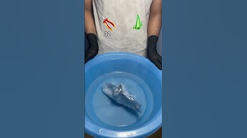 Will It Float or Sink? 🤯 #tissue #waterexperiment #asmrvideo #satisfying