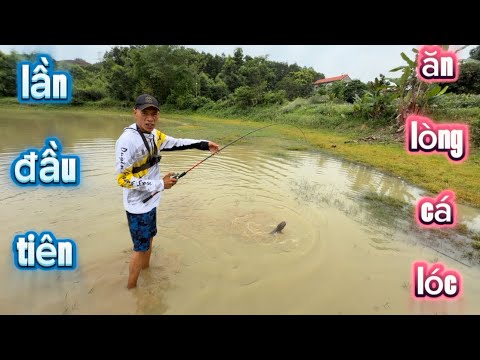 Lần Đầu Tiên Ăn Lòng Cá Lóc