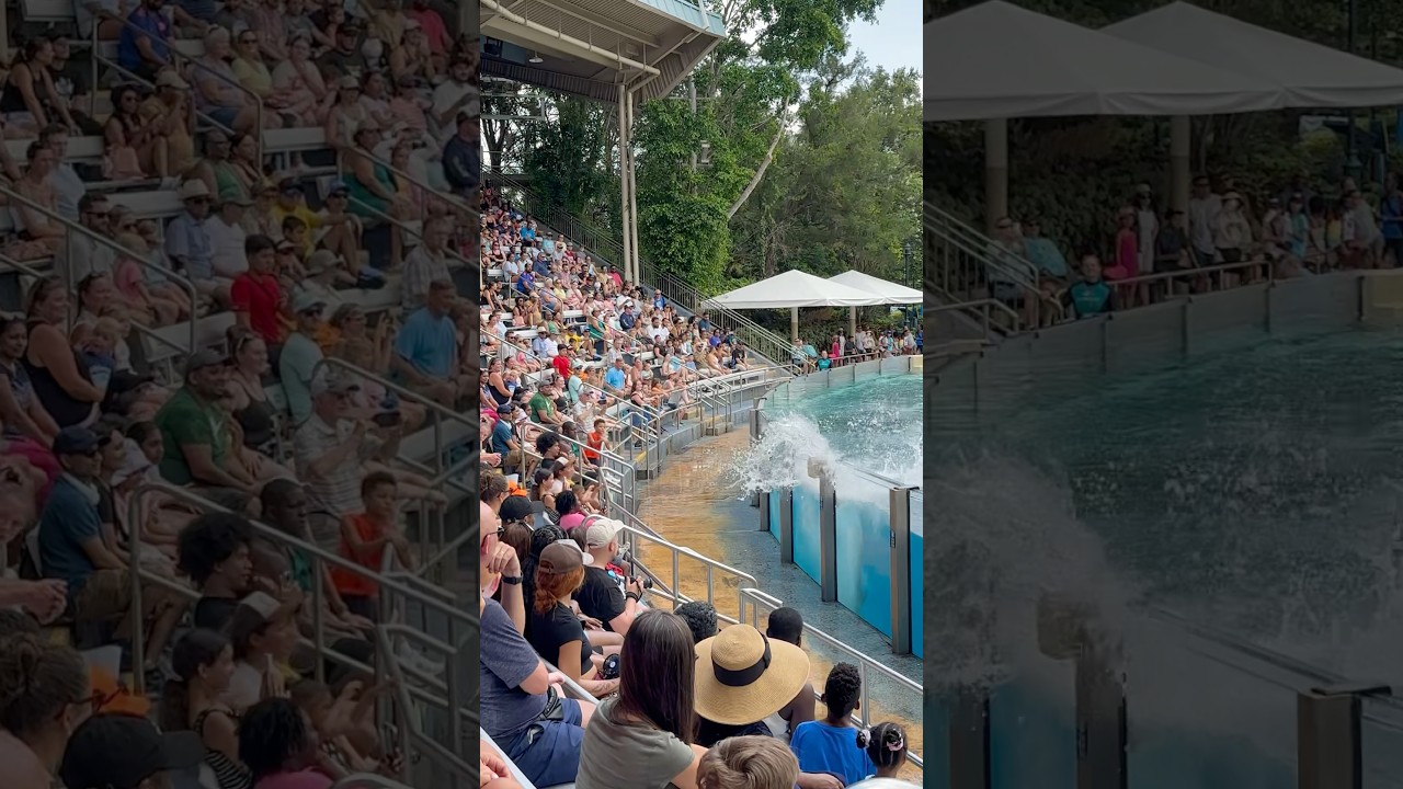 Love the splashing part