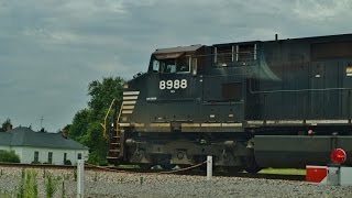 Pacing NS 35Q in Culpeper, Virginia