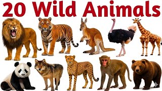 20 जानवरों के नाम | 20 Wild Animals for Kids | Learn Animal Names in English with Sounds &amp; Fun 
