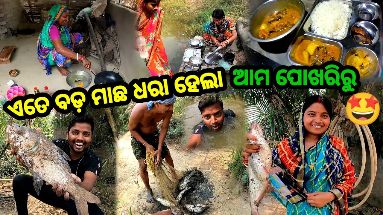 ଏତେ ବଡ଼ ମାଛ ଧରା ହେଲା ଆମ ପୋଖରିରୁ 🤩 || Odia Vlog || Fishing Vlog || Odia Comedy || Sudhansu Amita Vlog