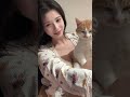 Cat Cutecat Cat Cutecat