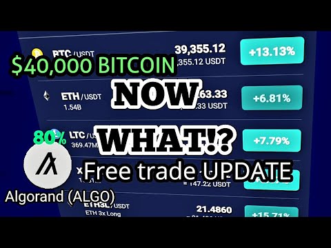 Bitcoin All Time Highs - NOW WHAT? | Algorand (ALGO) Chart Analysis FREE TRADE Setup 80%+ GAINS