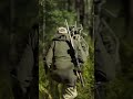 It's tree stand hunting time again! Let's try this again.