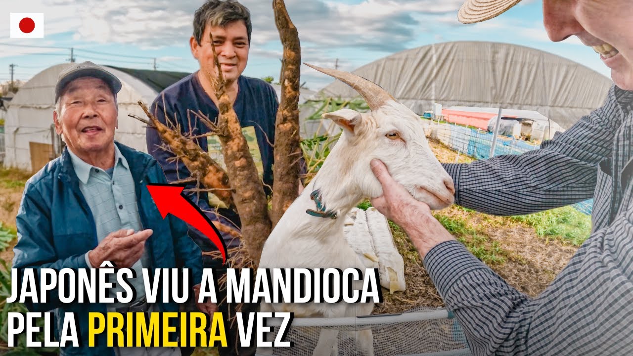ESTE JAPONÊS FICOU ADMIRADO COM A INVASÃO BRASILEIRA NA ROÇA DO JAPÃO