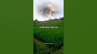 Prayer for my child #prayerandhope#selfmotivation#lifemotivation#wisewords#shortsfeed