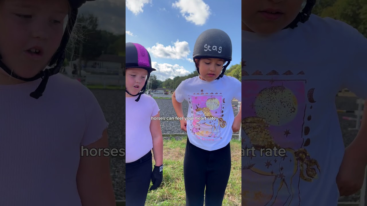 Advice for New Horse Riders 🐴✨ 