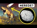 Dinozorları Yok Eden Asteroide Ne Oldu?