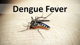 Dengue Fever: Clinical features and Management by Internal Medicine 54,195 views 5 years ago 6 minutes, 58 seconds