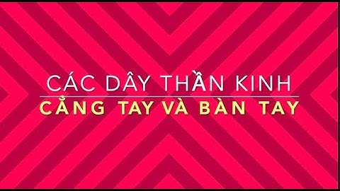 Giải phẫu chi trên: Ôn nhanh các dây thần kinh ở cẳng tay và bàn tay
