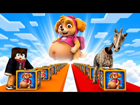 CREEPY HORSE races PREGNANT STELLA from PAW PATROL in a LUCKY BLOCK RACE in Minecraft!