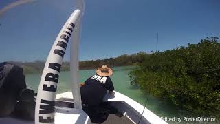 speeding thrugh the mangroves in jennylin