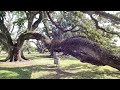 Oak alley plantation vacherie louisiana  october 2023