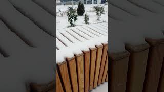 Краснодар 24.02.2025 утро  Снежно. И холодно-5