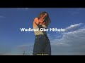 Wadimal Obe Hithata | වැඩිමල් ඔබේ හිතට - (Slowed and Reverb)