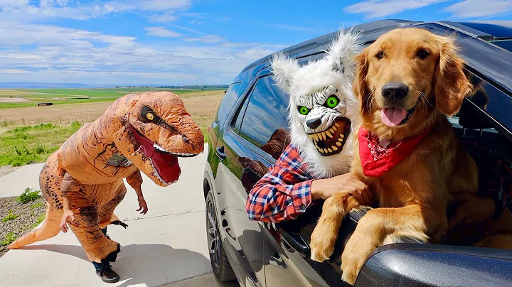 T-Rex Surprises Puppy & Wolf with Car Ride Chase!