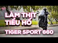 Triumph Tiger Sport 660: Tiểu hổ ngon nhất phân khúc, giá tốt