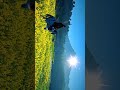 Crimson Desert 4K