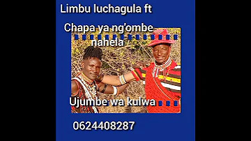 Limbu Luchagula Ft Chapa Ya Ng Ombe Nahela Ujumbe Wa Kulwa 