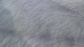 04.01.2019