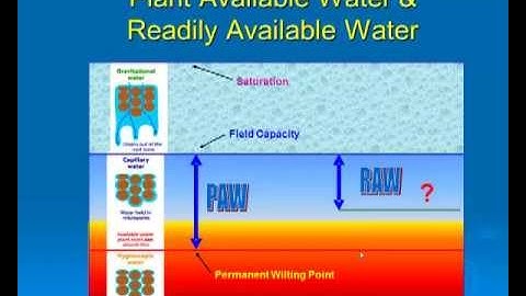 Plant Response - Peter Buss