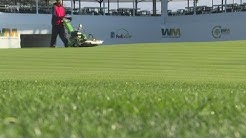 Keeping the greens green at TPC Scottsdale 