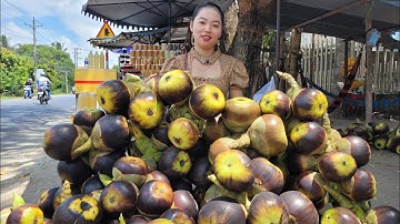 Bất Ngờ Hotgirl Chặt Thốt Nốt Xinh Đẹp Tại An Giang Tuyển Chồng | Tủm Tỉm TV