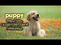 "dog training" : dog food : vaccination : deworming : നായയെ വളര്‍ത്തുന്നവര്‍ അറിയാന്‍