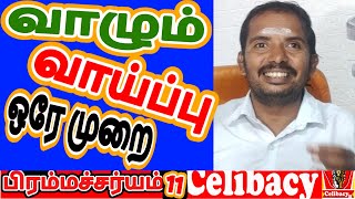 வாழும் வாய்ப்பு ஒரே முறை  | day 11 | Celibacy 30 days challenge season 7 screenshot 4