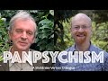 Panpsychism - A conversation with Rupert Sheldrake