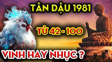 Hé Lộ Chuẩn Nhất, Tuổi Tân Dậu 1981 Từ 42 Đến 100 Tuổi, Vua Hay Giặc, Vinh Hay Nhục.