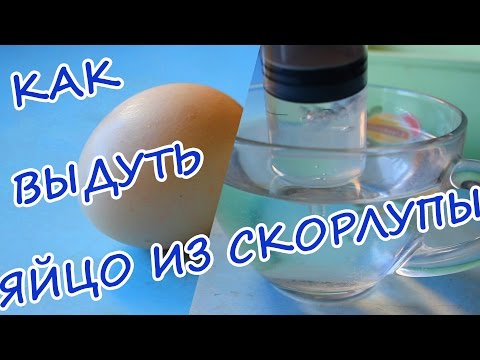 Вопрос: Как выдувать яйца?