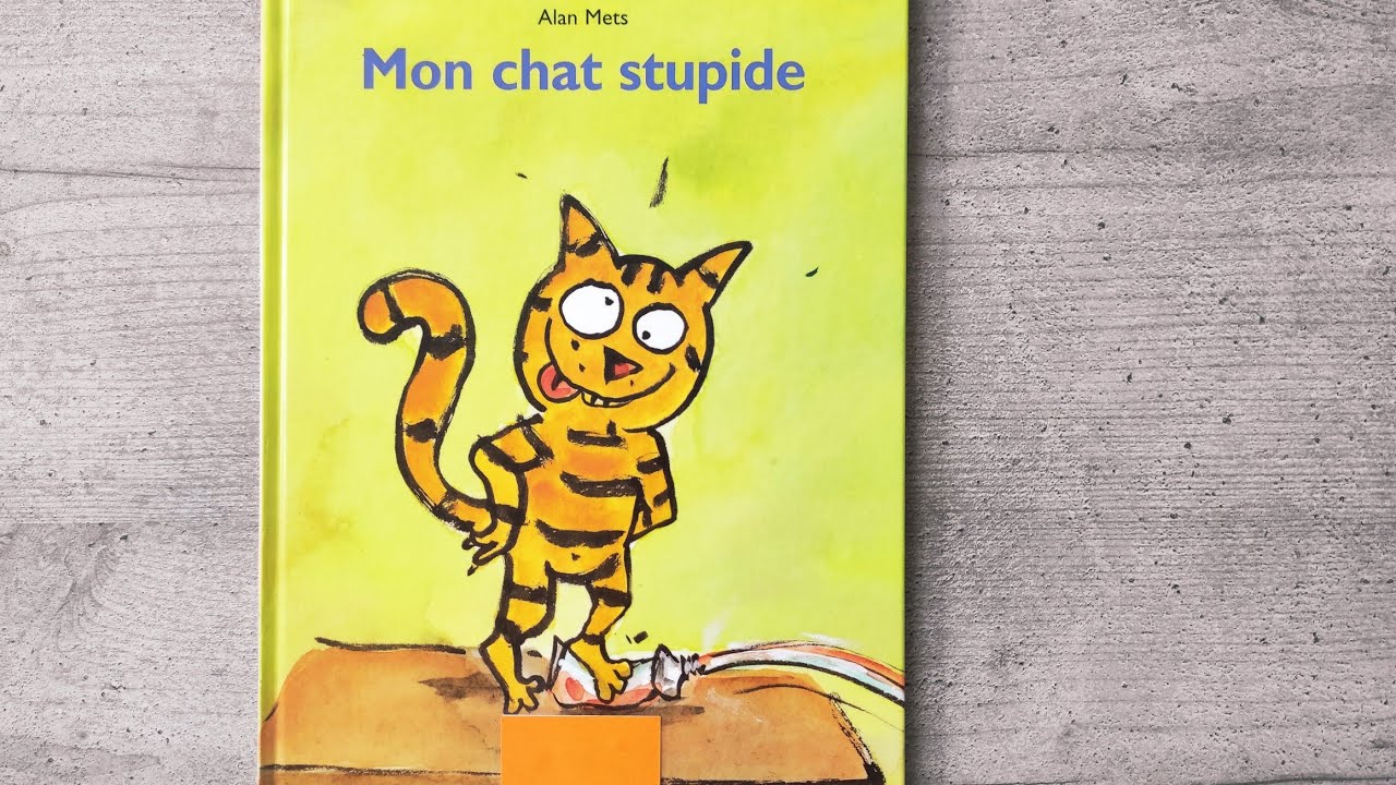 Mon chat stupide ️ - YouTube