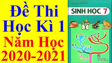 Sinh học Lớp 7 – Đề Thi Học Kì 1 Năm Học 2020 – 2021