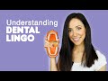 Dental Terminology (How To Understand Your Dentist)