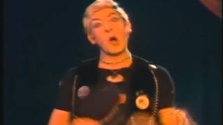 didi und die braunen stadtmusikanten  - - -  punker maria