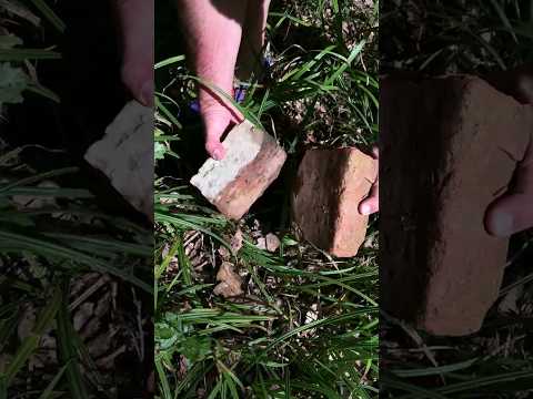 Survival Skills How to start a fire in the wild. #survival #bushcraft #outdoors #reels