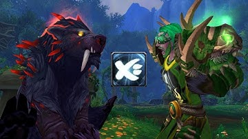 Druids HATE Touch of Karma! | Legion 7.3.5 Windwalker Monk PVP